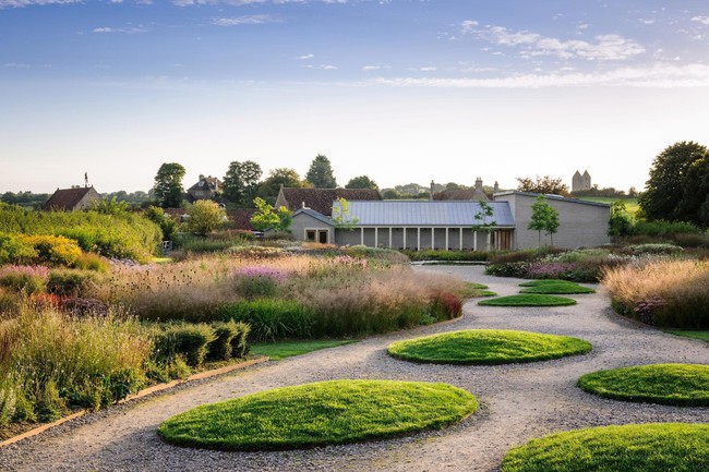 Đôi vợ chồng bỏ phố về quê biến mảnh đất 6.000m2 thành nhà vườn đẹp tuyệt-5