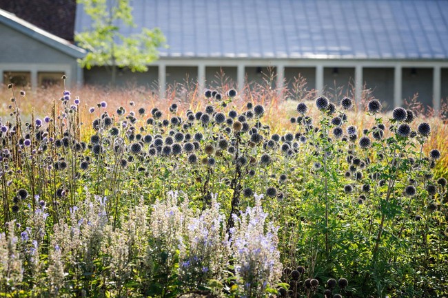 Đôi vợ chồng bỏ phố về quê biến mảnh đất 6.000m2 thành nhà vườn đẹp tuyệt-6