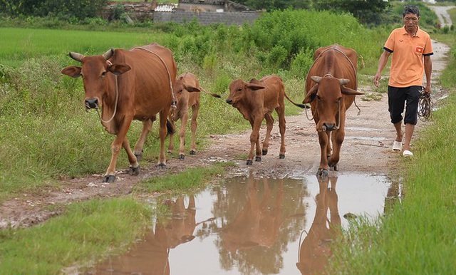 Sau 3 năm yêu nhau, Đoàn Văn Hậu chuẩn bị căn nhà thế nào khi sẽ chung sống với Doãn Hải My?-21