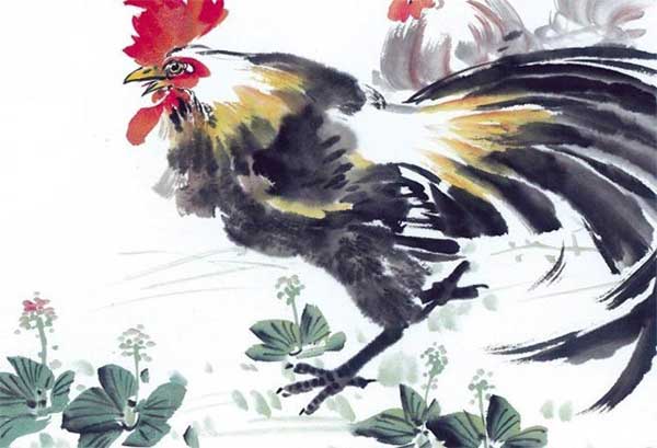 Tử vi tuần mới 21/8-27/8: Tý đột phá, Mão phòng họa từ miệng mà ra-4