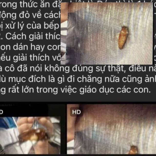 Côn trùng trong suất ăn của học sinh trường Newton 5: Học sinh, phụ huynh nói là gián, cô giáo nói là ong?-1