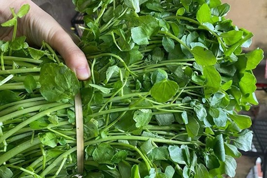 Nghiên cứu cho thấy đây là những siêu thực phẩm vừa lợi tiêu hóa vừa nuôi dưỡng đường ruột
