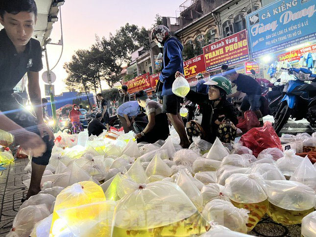 Chợ âm phủ ở TPHCM bán gì mà chỉ mở 3 tiếng, nhanh chóng biến mất lạ thường?-1