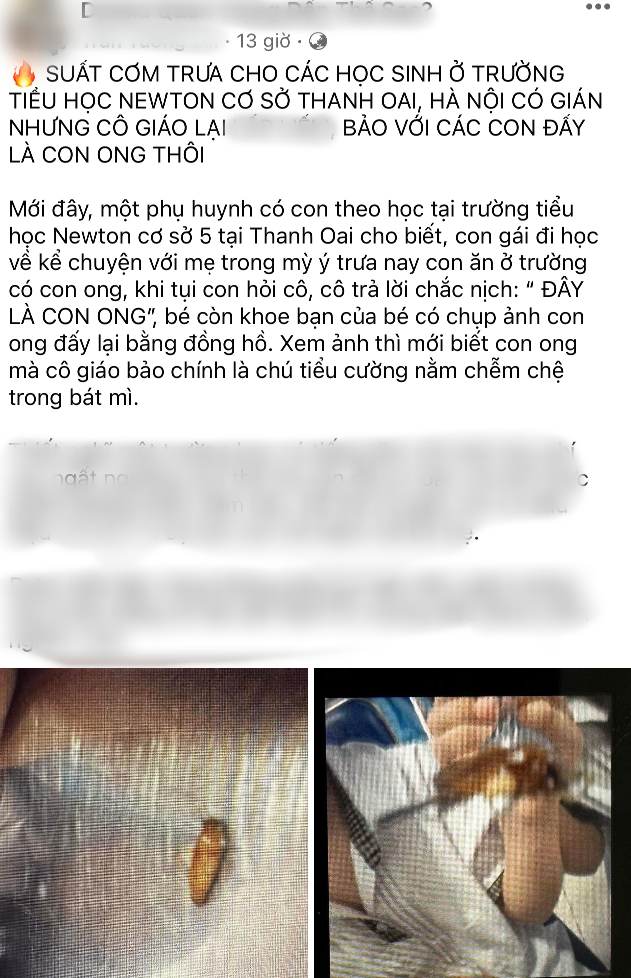 Trích xuất camera xác minh suất ăn trưa nghi có gián ở Trường Tiểu học - THCS Newton-1