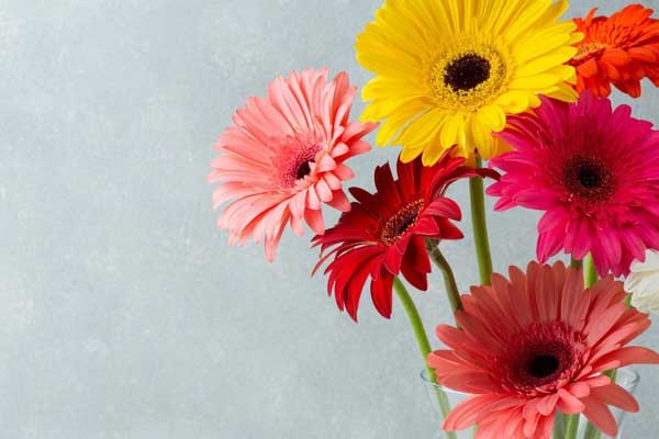 Càng áp lực càng tỏa sáng: 3 con giáp phất lên như diều gặp gió chốn công sở vào cuối tháng 8-2