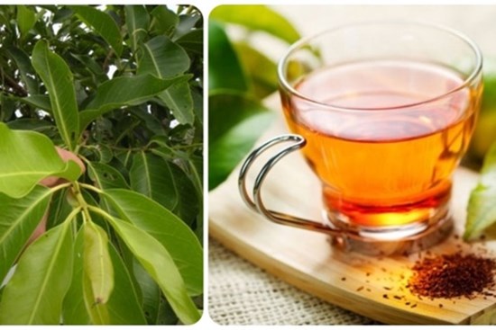 Tác hại của nước vối nếu dùng sai cách