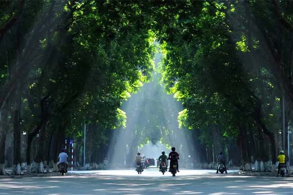 Tạm dừng các cuộc đấu giá biển số xe ô tô vì lý do kỹ thuật-6