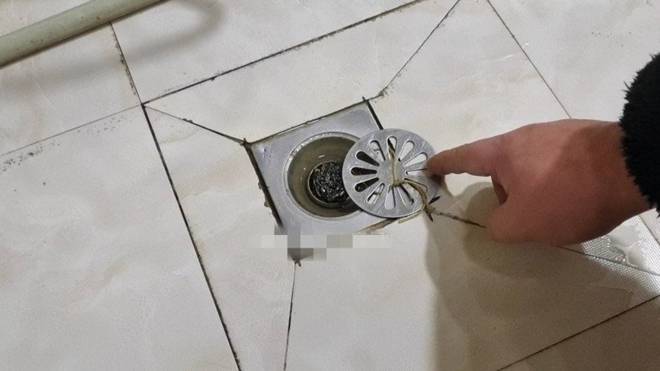 Người thông minh thường nhét cọ sắt vào chai nhựa, biết tác dụng tôi cũng học theo-6