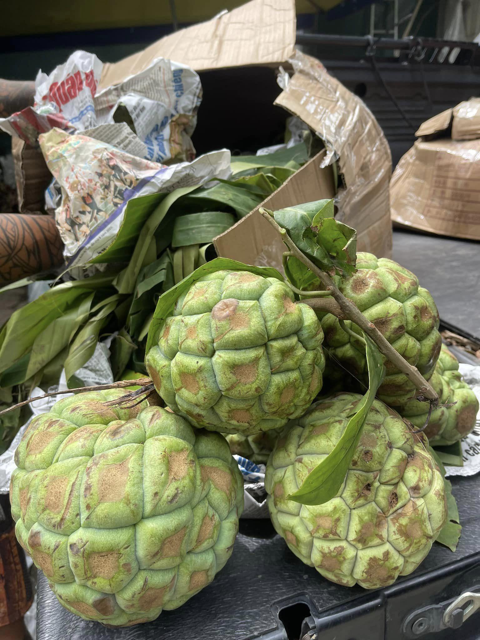 Loại quả rừng xanh vỏ đỏ lòng” vào mùa, dân buôn có ngày bán cả tấn-2