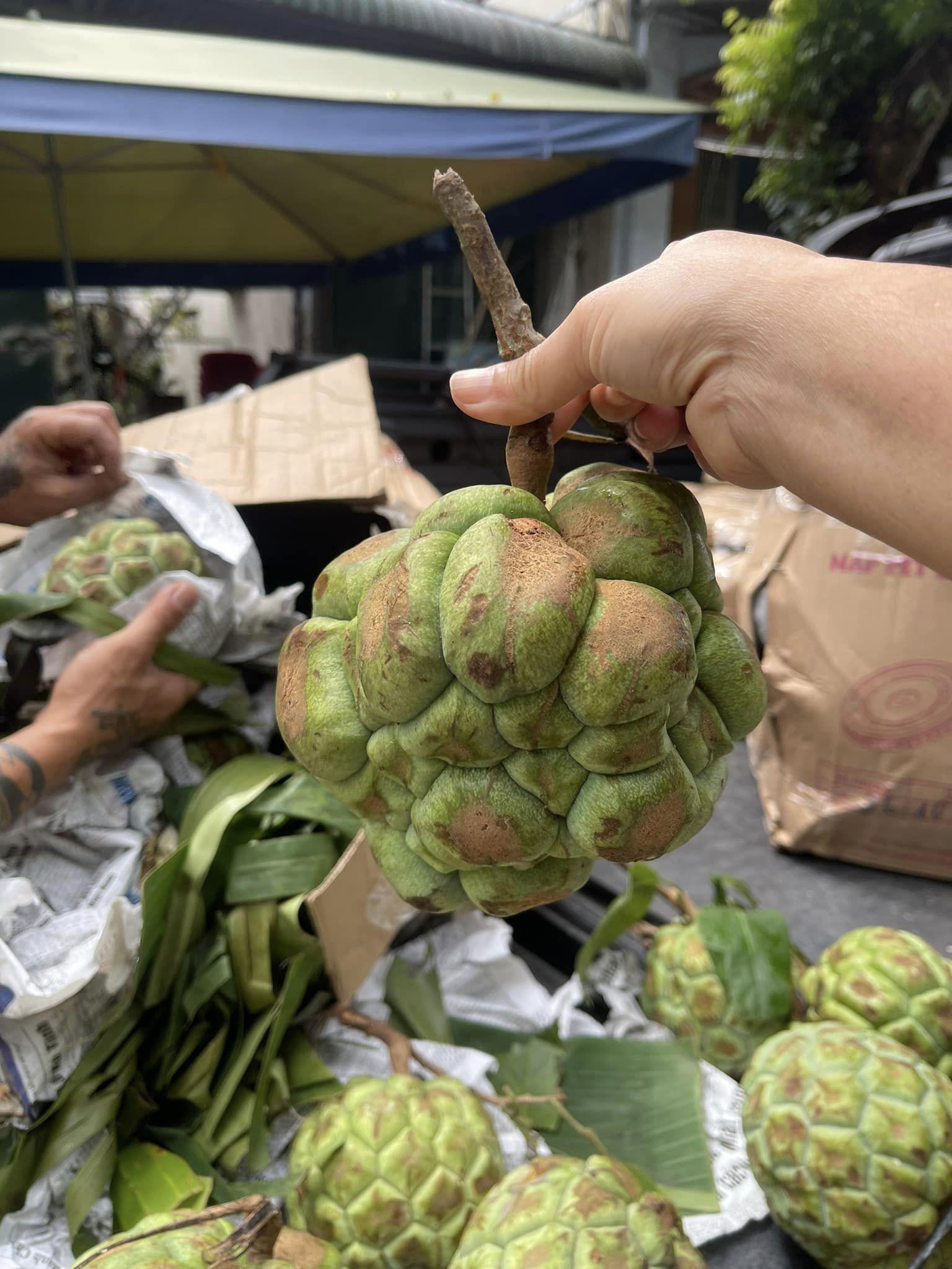 Loại quả rừng xanh vỏ đỏ lòng” vào mùa, dân buôn có ngày bán cả tấn-3