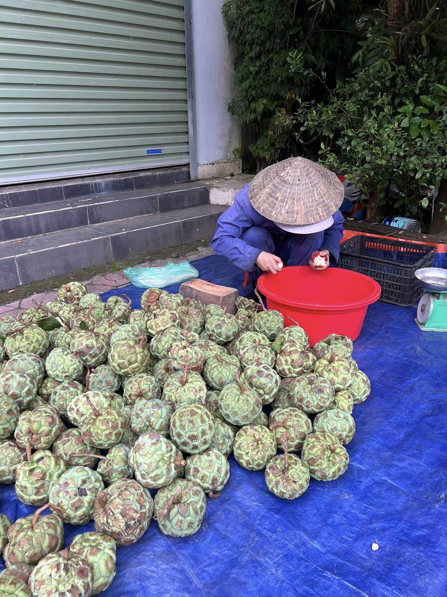 Loại quả rừng xanh vỏ đỏ lòng” vào mùa, dân buôn có ngày bán cả tấn-4