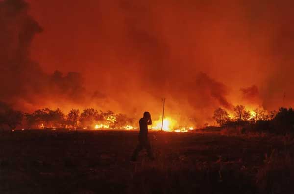 Hy Lạp phát hiện 18 thi thể nạn nhân tử vong do cháy rừng-2