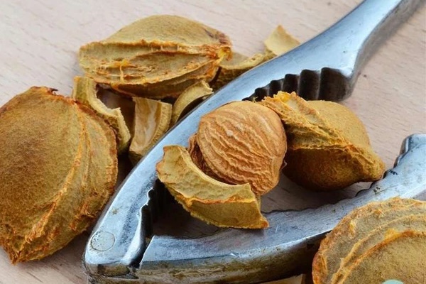 4 thực phẩm có vị đắng là chất kịch độc, tuyệt đối không nên ăn-1