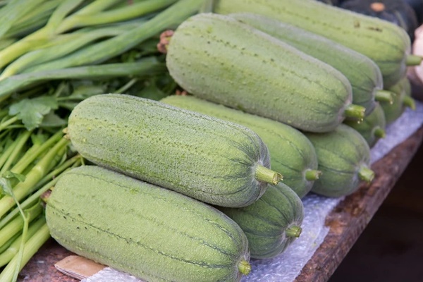 4 thực phẩm có vị đắng là chất kịch độc, tuyệt đối không nên ăn-2