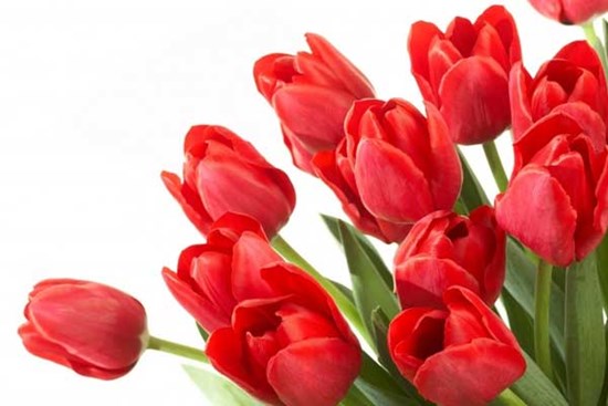 Hết khó hết khổ: 3 con giáp tháng 7 Âm lịch chủ động nắm bắt thời cơ, việc tốt, tiền nhiều