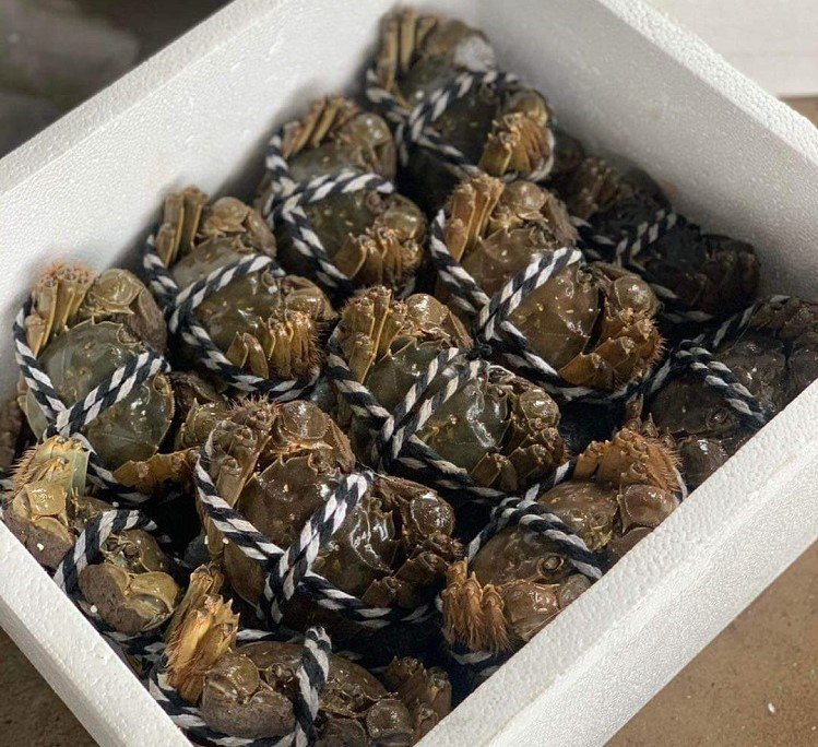 Loại cua siêu gạch” chỉ có ở Bắc Giang, giá gần triệu đồng/kg vẫn được săn lùng-3