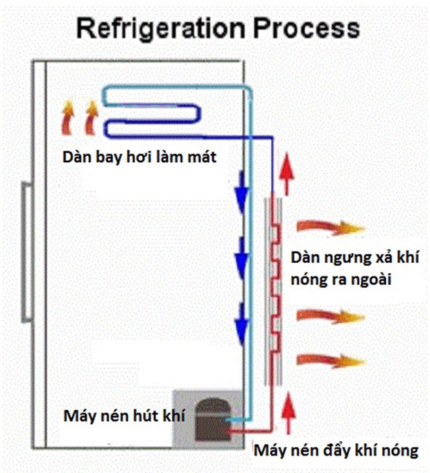 Đang bảo dưỡng, vệ sinh tủ lạnh, người dùng gặp tai nạn thương tâm: Nguyên nhân có thể từ những sai lầm phổ biến-2