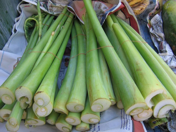 Loại rau mọc ở bờ rào, ăn nhiều giải nhiệt, giảm béo hiệu quả, đem nấu bún thành món ngon bổ rẻ-1