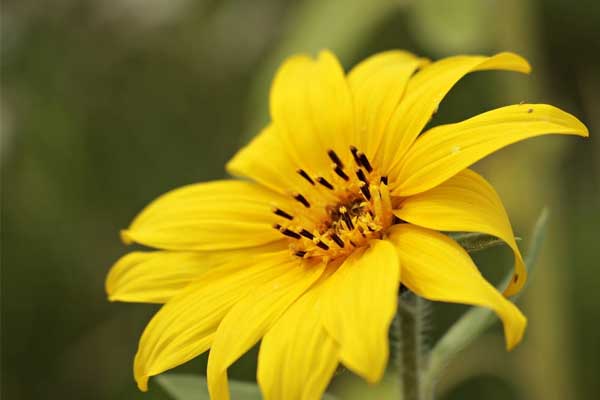 3 bí mật giúp bạn đọc vị hôn nhân của người tuổi Ngọ, kết hợp với tuổi này sẽ hạnh phúc ngọt ngào, viên mãn-5