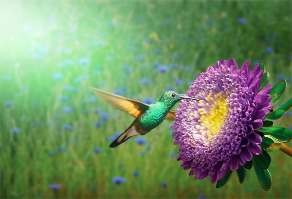 Thất bại tránh xa: Ai sinh tháng Âm lịch này nhạy bén kinh doanh, sự nghiệp ổn định, tài lộc như ý-3