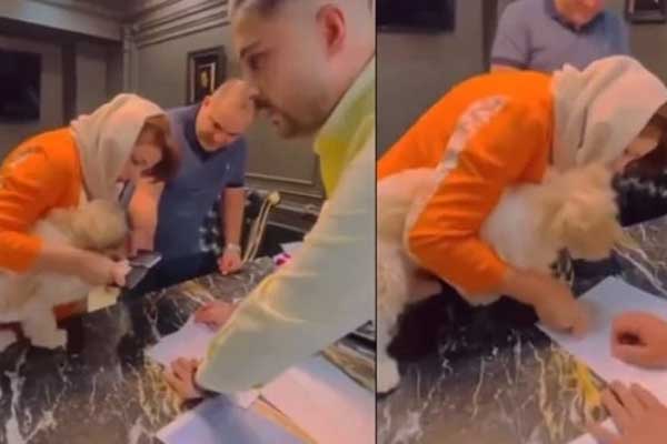 Không có người thừa kế, cặp vợ chồng bán nhà cho chó và bị bắt-1