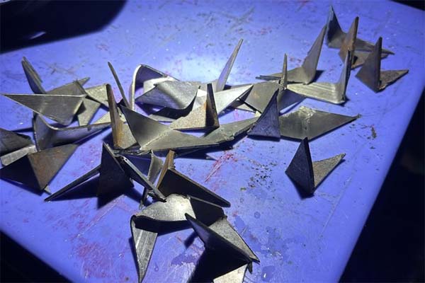 Bình Thuận: Khẩn trương điều tra một đối tượng trộm chó chết chưa rõ nguyên nhân-2