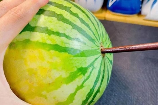 Cắm đũa vào quả dưa hấu có tác dụng gì?