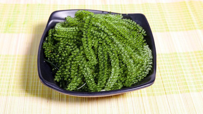 Đa dạng thực đơn ăn kiêng với món salad thanh mát, lạ miệng-2