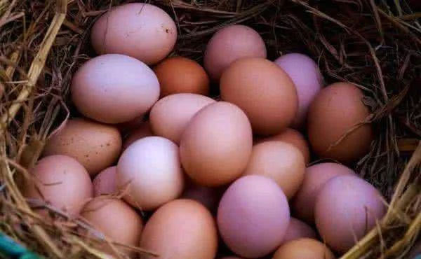 Từ Hi Thái hậu mỗi ngày ăn 20 quả trứng nhưng đầu bếp phải chuẩn bị 500 quả, vì sao?-4