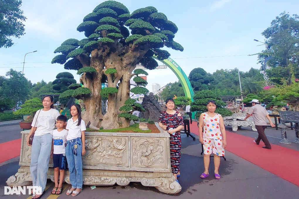 Cây duối được trả giá cả chục tỷ đồng, chủ chưa bán-4