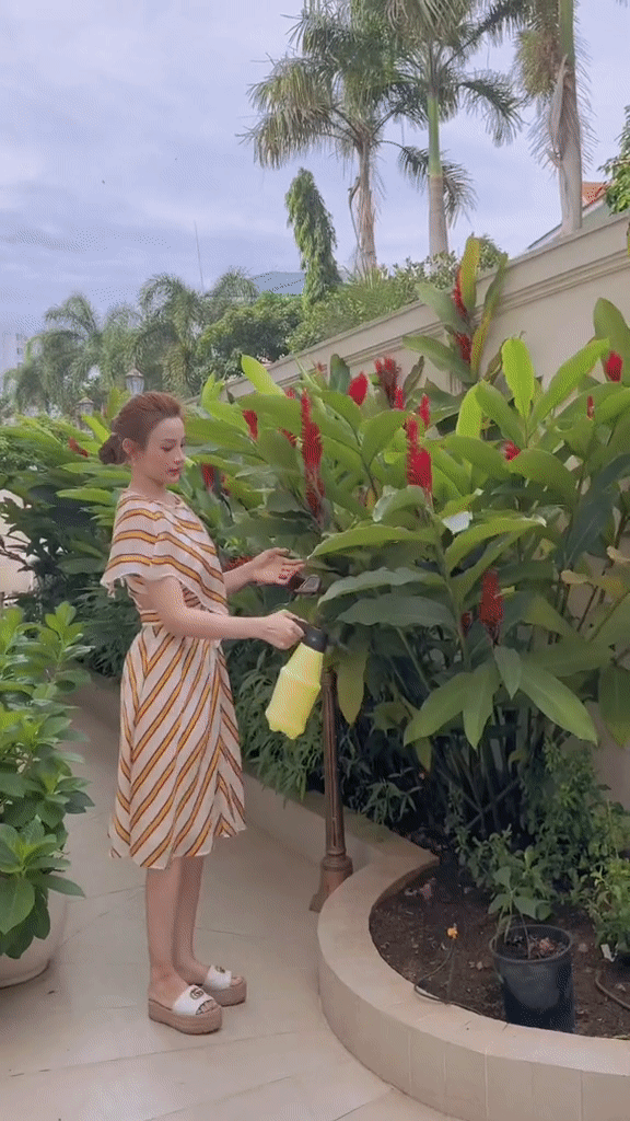 Vườn cây trong biệt thự 100 tỷ của Huyền Baby: Chồng chăm cây từ A - Z, vợ chỉ việc thả dáng sống ảo-2