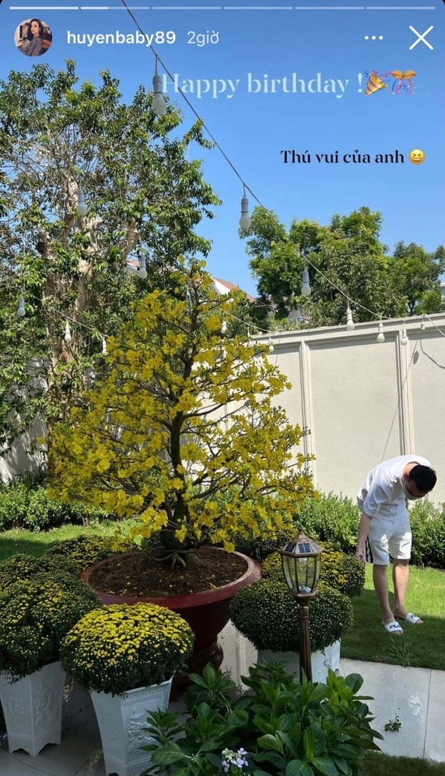 Vườn cây trong biệt thự 100 tỷ của Huyền Baby: Chồng chăm cây từ A - Z, vợ chỉ việc thả dáng sống ảo-3