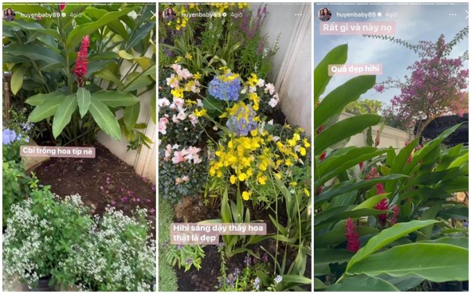 Vườn cây trong biệt thự 100 tỷ của Huyền Baby: Chồng chăm cây từ A - Z, vợ chỉ việc thả dáng sống ảo-4