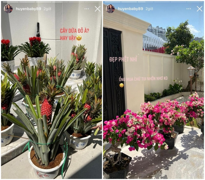 Vườn cây trong biệt thự 100 tỷ của Huyền Baby: Chồng chăm cây từ A - Z, vợ chỉ việc thả dáng sống ảo-5