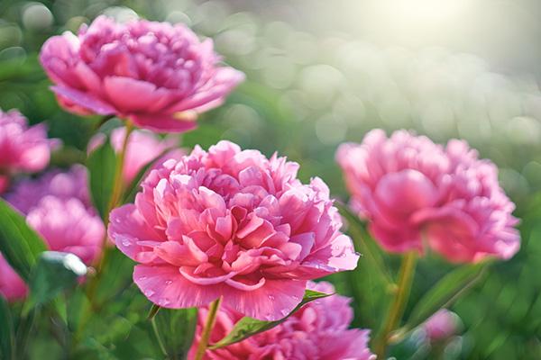 Vận số an bài: Trẻ sinh khung giờ Âm lịch này, lớn lên công thành danh toại, thiện lương, hiếu thảo-3