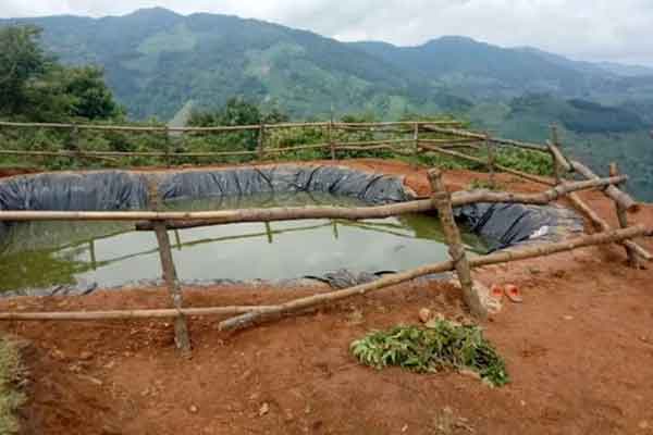 Phát hiện thi thể trẻ sơ sinh đựng trong hộp nhựa vứt bên đường-2