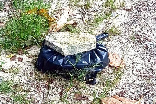 Phát hiện thi thể trẻ sơ sinh đựng trong hộp nhựa vứt bên đường-1