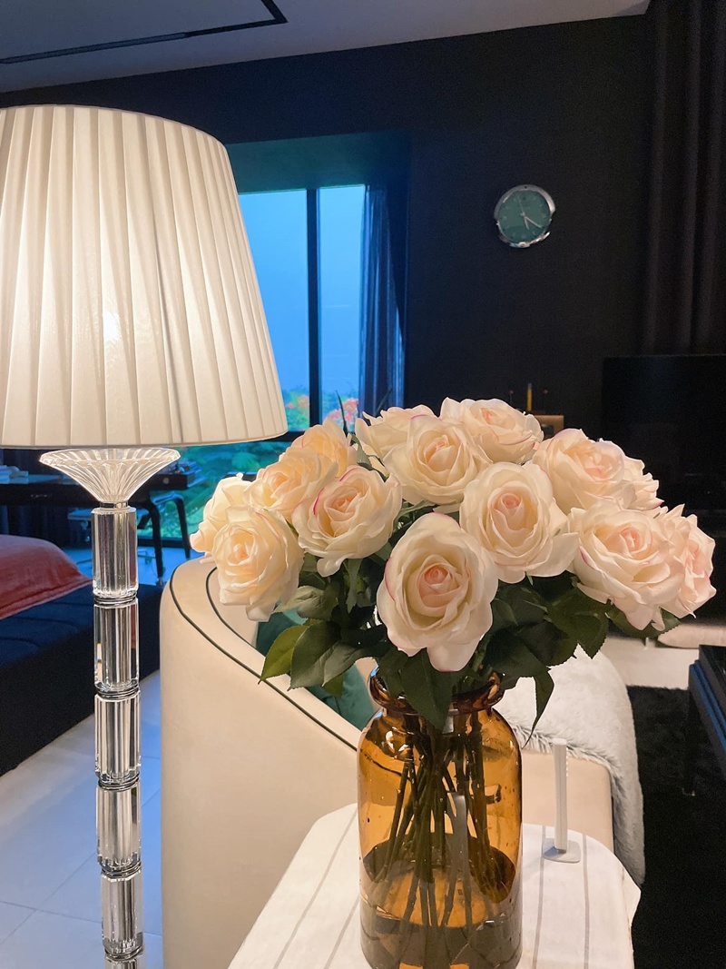 Phòng tổng thống trong căn biệt thự 305 M2 của diễn viên Quốc Trường-18