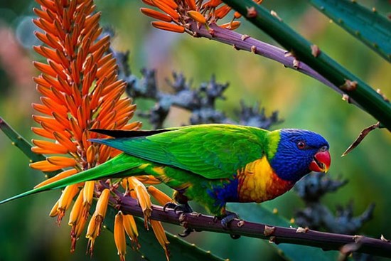 Im lặng là vàng: 4 con giáp kiệm lời, năng lực vượt trội, cuối năm 2023 tăng tốc làm giàu, tiền bạc sung túc