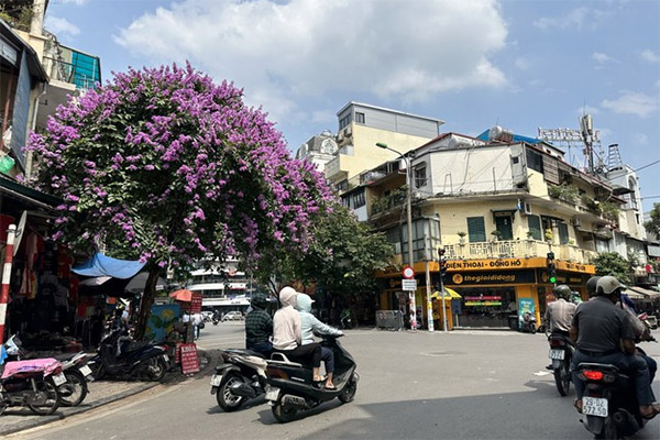 Vụ án oan 38 năm trước: Vì sao các cơ quan tố tụng không đồng ý bồi thường?-4