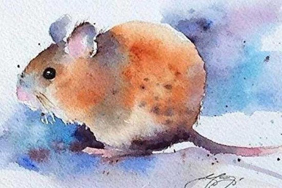 Càng vào những ngày cuối tháng 8, 4 con giáp này càng trúng mánh lớn, sự nghiệp và tình duyên lên mây