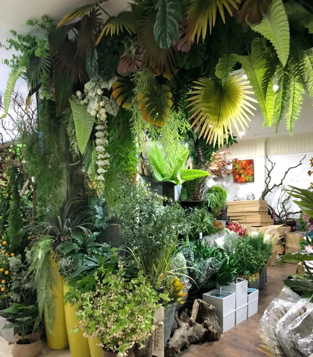 Nhà giàu không trồng 3 cây cảnh này, hoa càng thịnh sức khỏe càng yếu, phong thủy càng xấu-5