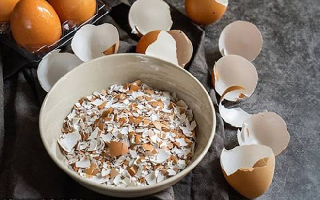 Thứ nhà nhà vứt đi nhưng được bán giá 35.000 đồng/kg, biết tác dụng của nó bạn sẽ tiếc hùi hụi-3