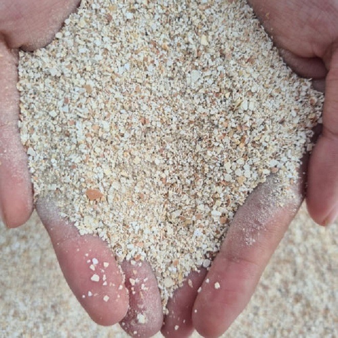 Thứ nhà nhà vứt đi nhưng được bán giá 35.000 đồng/kg, biết tác dụng của nó bạn sẽ tiếc hùi hụi-4