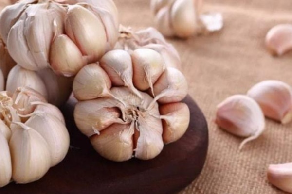 5 lý do nên kiên trì ăn một tép tỏi sống mỗi ngày-1