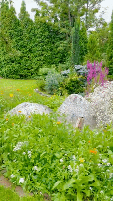 Vườn nhà bố mẹ chồng Hồ Ngọc Hà ở Thụy Điển: Cây ăn trái trĩu cành, Leon - Lisa tha hồ hái quả-2
