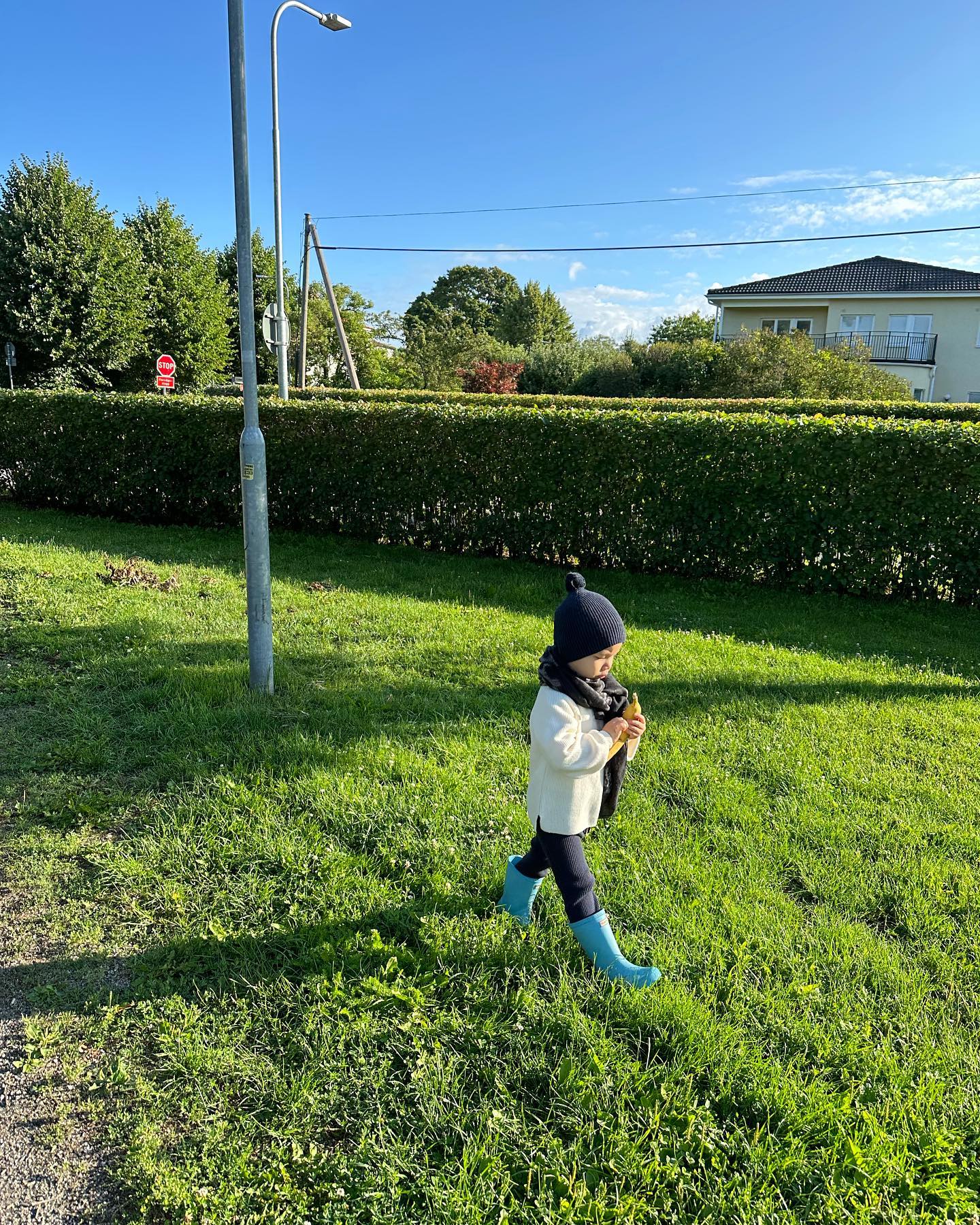 Vườn nhà bố mẹ chồng Hồ Ngọc Hà ở Thụy Điển: Cây ăn trái trĩu cành, Leon - Lisa tha hồ hái quả-3