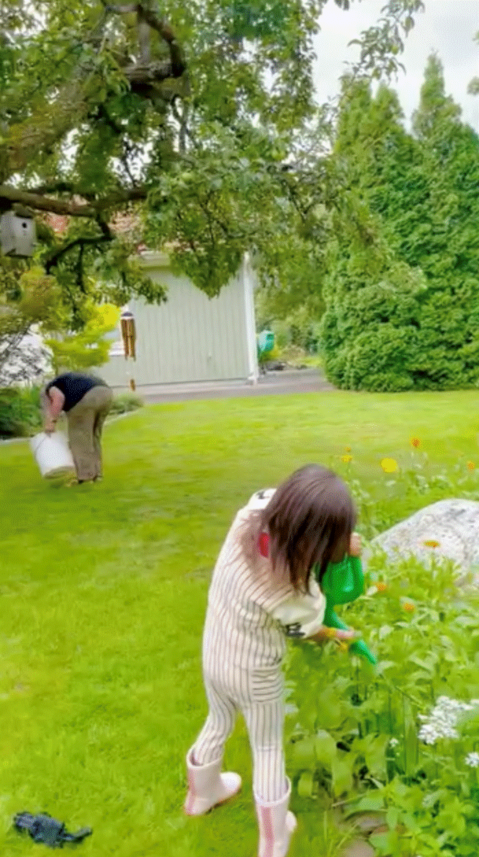 Vườn nhà bố mẹ chồng Hồ Ngọc Hà ở Thụy Điển: Cây ăn trái trĩu cành, Leon - Lisa tha hồ hái quả-10