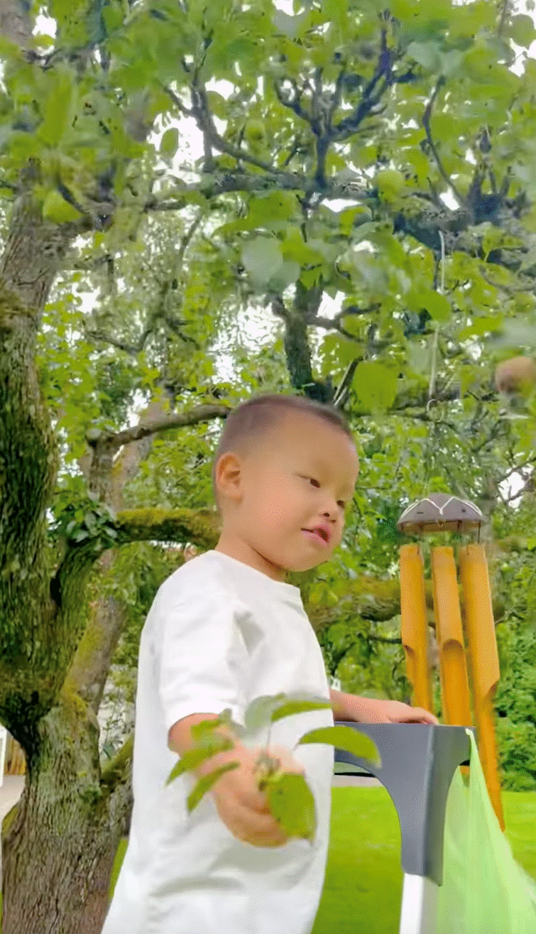 Vườn nhà bố mẹ chồng Hồ Ngọc Hà ở Thụy Điển: Cây ăn trái trĩu cành, Leon - Lisa tha hồ hái quả-11