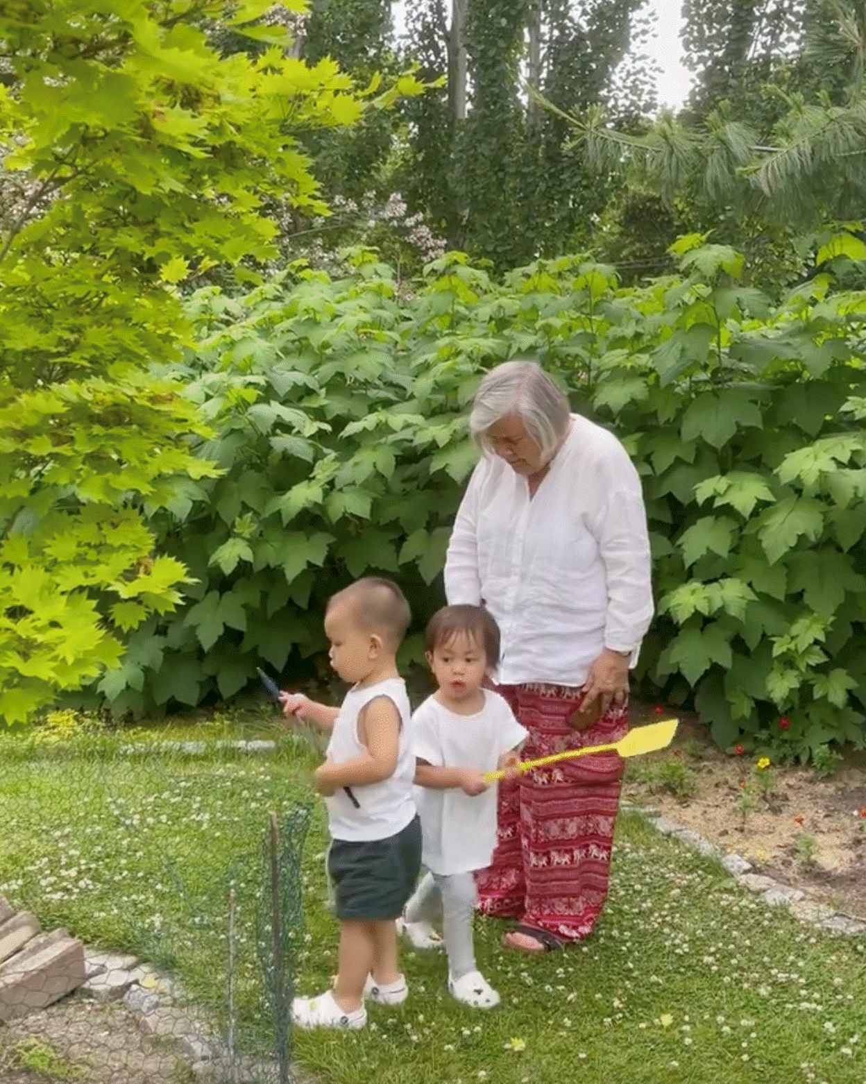 Vườn nhà bố mẹ chồng Hồ Ngọc Hà ở Thụy Điển: Cây ăn trái trĩu cành, Leon - Lisa tha hồ hái quả-12